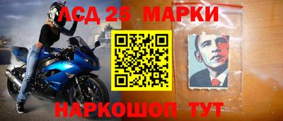 стаф Сланцы