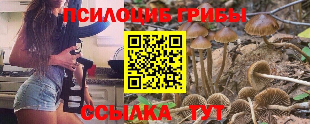 Октябрьский  Псилоцибиновые грибы Magic Shrooms  Вход с VPN 
